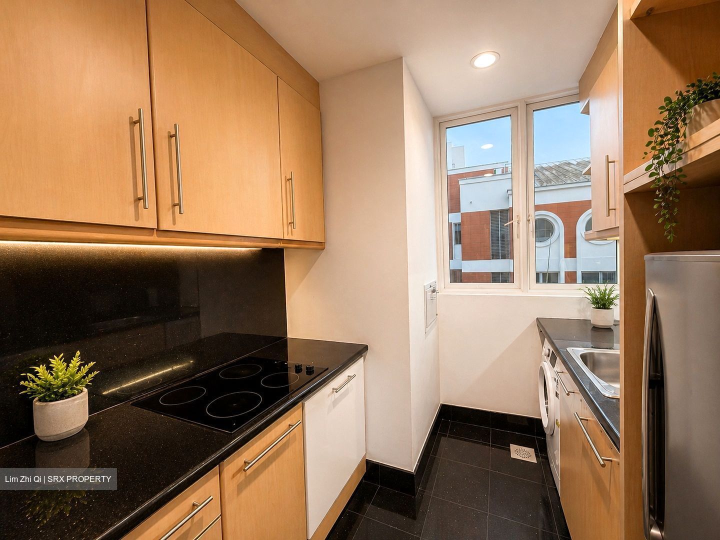The Hermitage (D10), Apartment #552560411